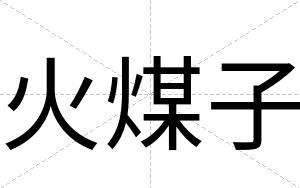 火煤子