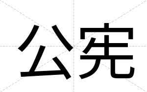 公宪