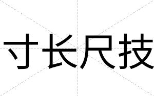 寸长尺技