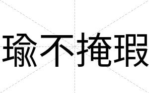 瑜不掩瑕
