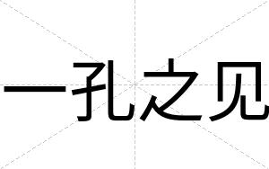 一孔之见