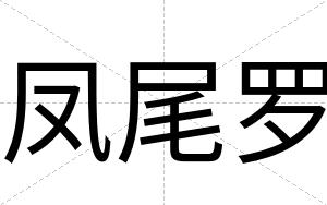 凤尾罗