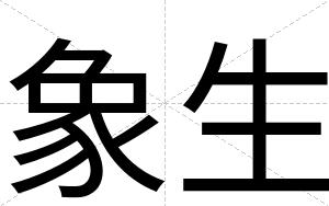 象生