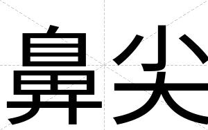 鼻尖