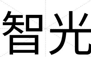智光