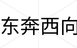 东奔西向