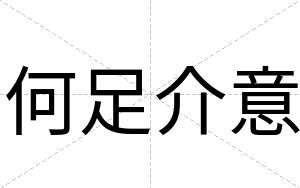 何足介意