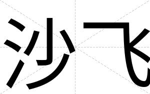 沙飞
