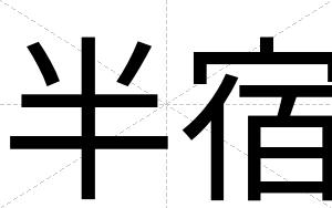 半宿