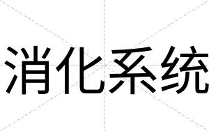 消化系统