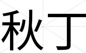 秋丁