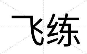 飞练