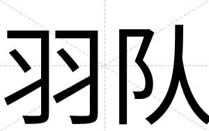 羽队