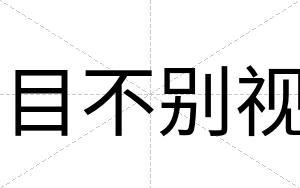 目不别视