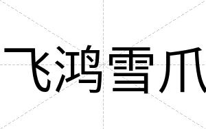 飞鸿雪爪