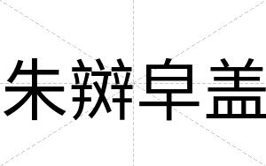 朱辬皁盖