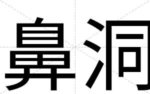 鼻洞