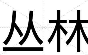 丛林
