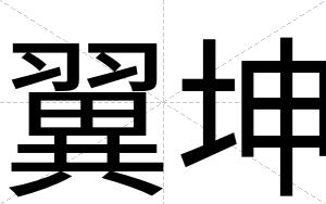 翼坤