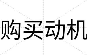 购买动机