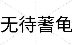 无待蓍龟