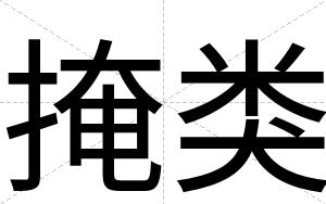 掩类