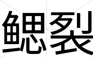 鳃裂