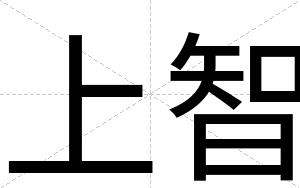 上智