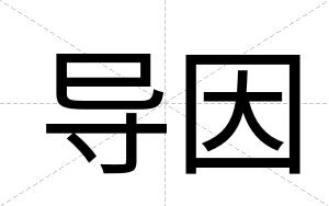 导因