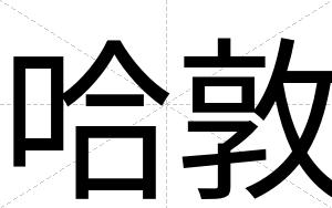 哈敦