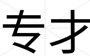 专才