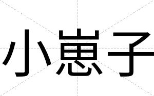 小崽子