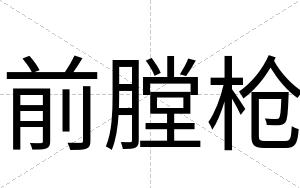 前膛枪