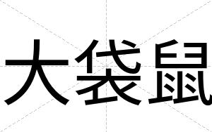 大袋鼠
