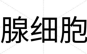 腺细胞