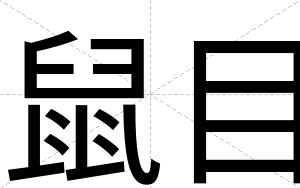 鼠目
