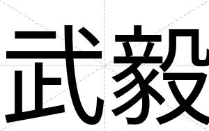 武毅