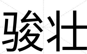 骏壮