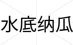 水底纳瓜