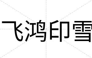 飞鸿印雪
