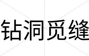 钻洞觅缝