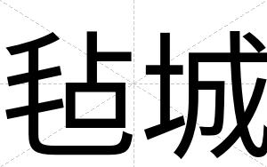 毡城