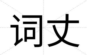 词丈