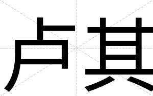 卢其