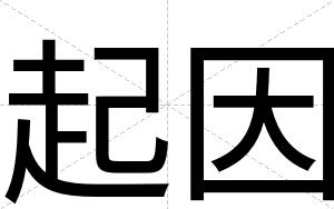 起因