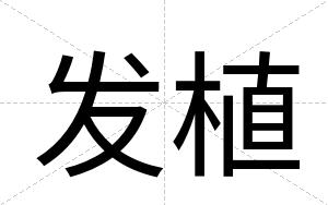 发植