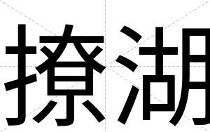 撩湖