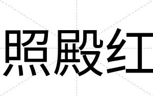 照殿红
