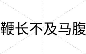 鞭长不及马腹