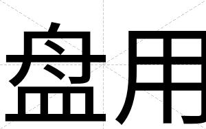 盘用